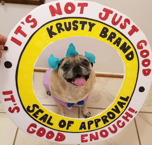 /Images/uploads/PUG NATION RESCUE OF LOS ANGELES/pugnationcalendar/entries/2369thumb.jpg